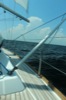 resIMG_20140617_144358_2424.JPG